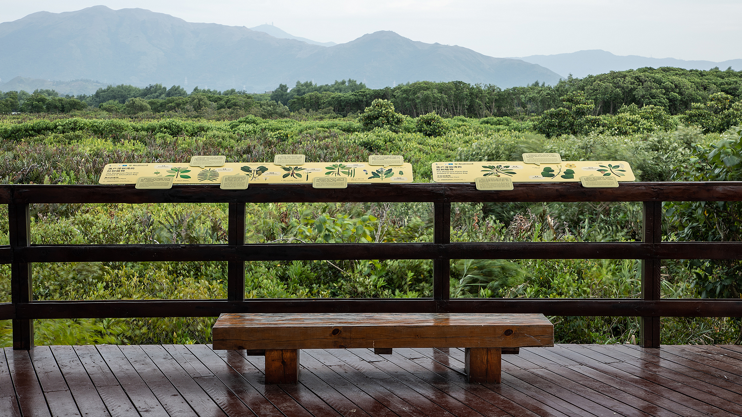 深圳红树林生态公园户外科普互动导视设计丨中国深圳丨共生领域(北京)文化传媒有限公司-33