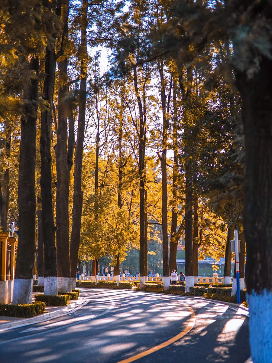 昆明翠湖亚朵酒店丨中国昆明丨TDD.L 今日营造-2