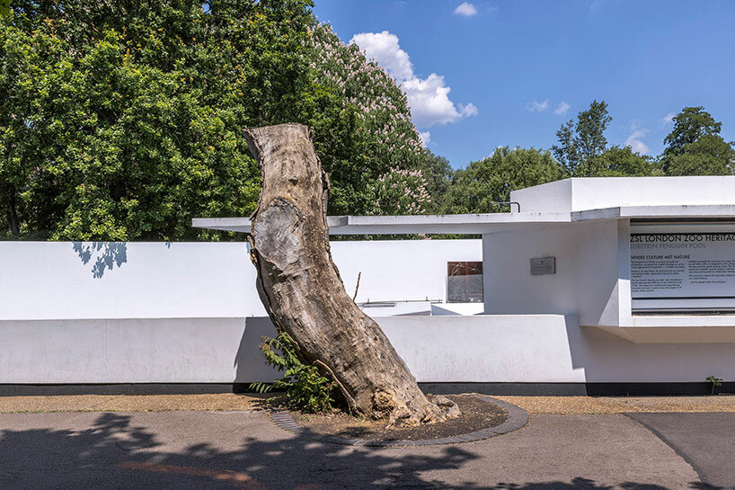 Lubetkin Penguin Pool，动物园企鹅馆丨英国丨Berthold Lubetkin-16