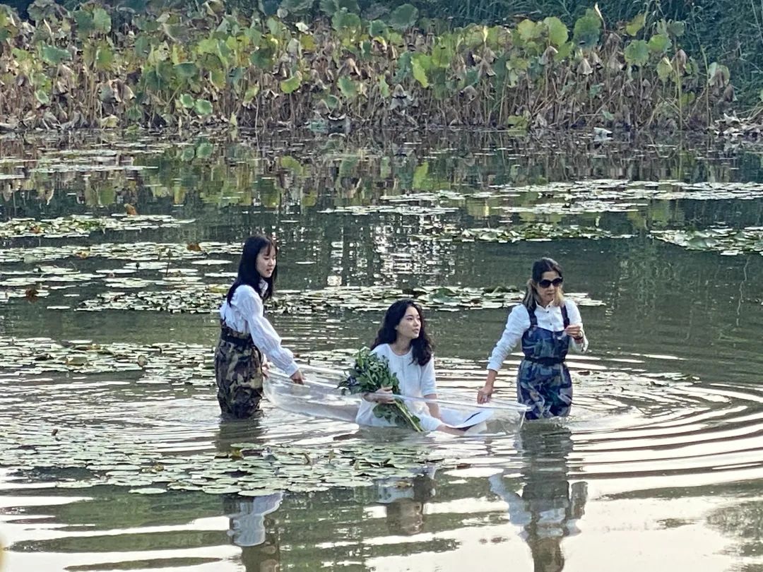 《莲颂》数字影像专题片丨中国杭州丨杭州国美建筑设计研究院有限公司-19