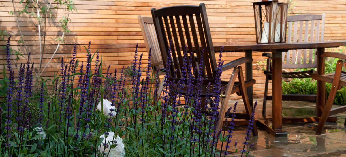 Teddington大型后花园项目丨Belderbos Landscapes-12