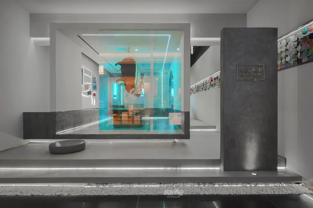 小猪萌宠乳胶漆店 | 创意设计引领行业新潮流-2