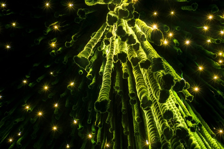 80㎡云南白药益小小展示空间-23