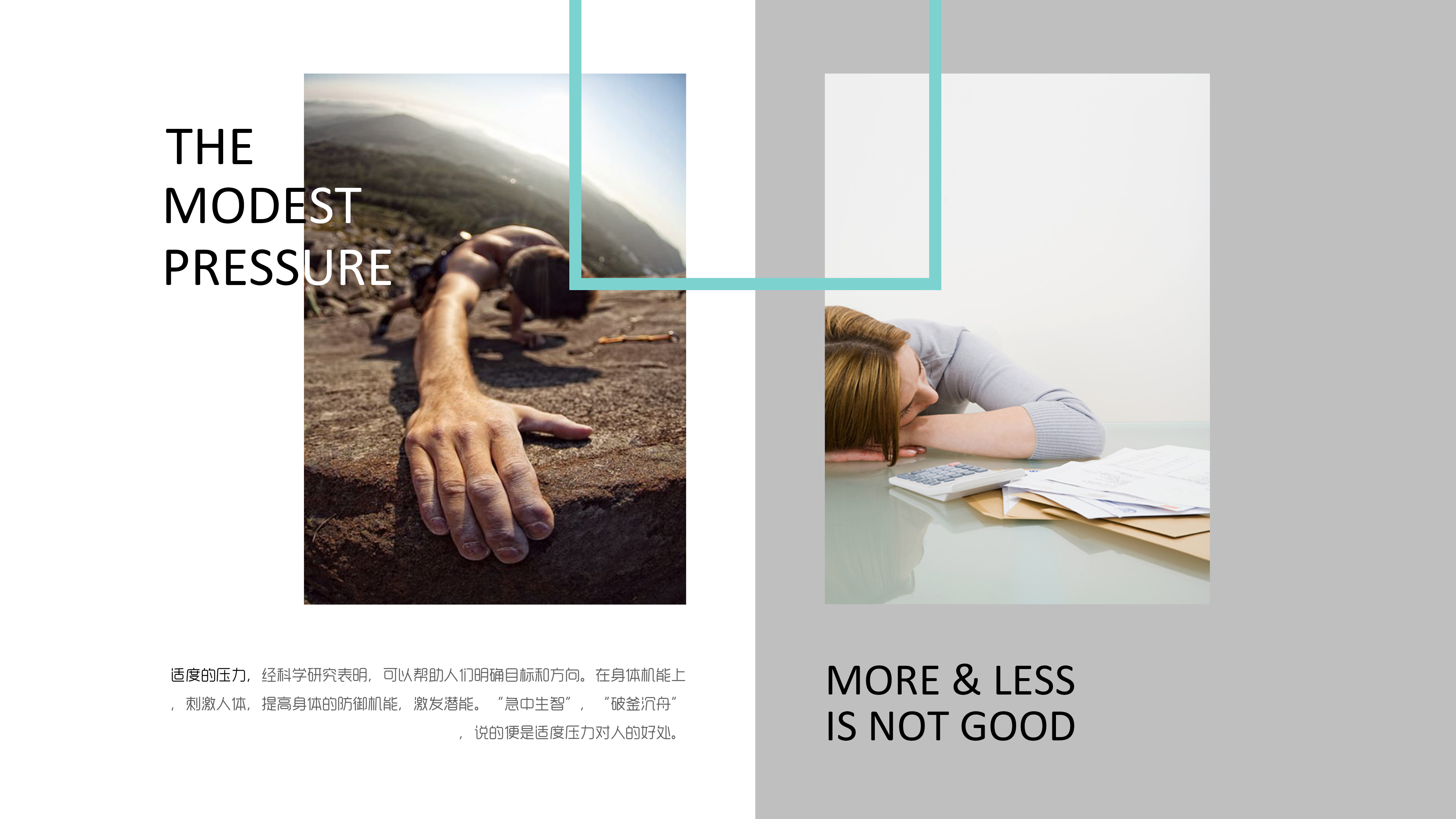 减压办公空间设计 | 城市绿洲的舒缓魅力-5