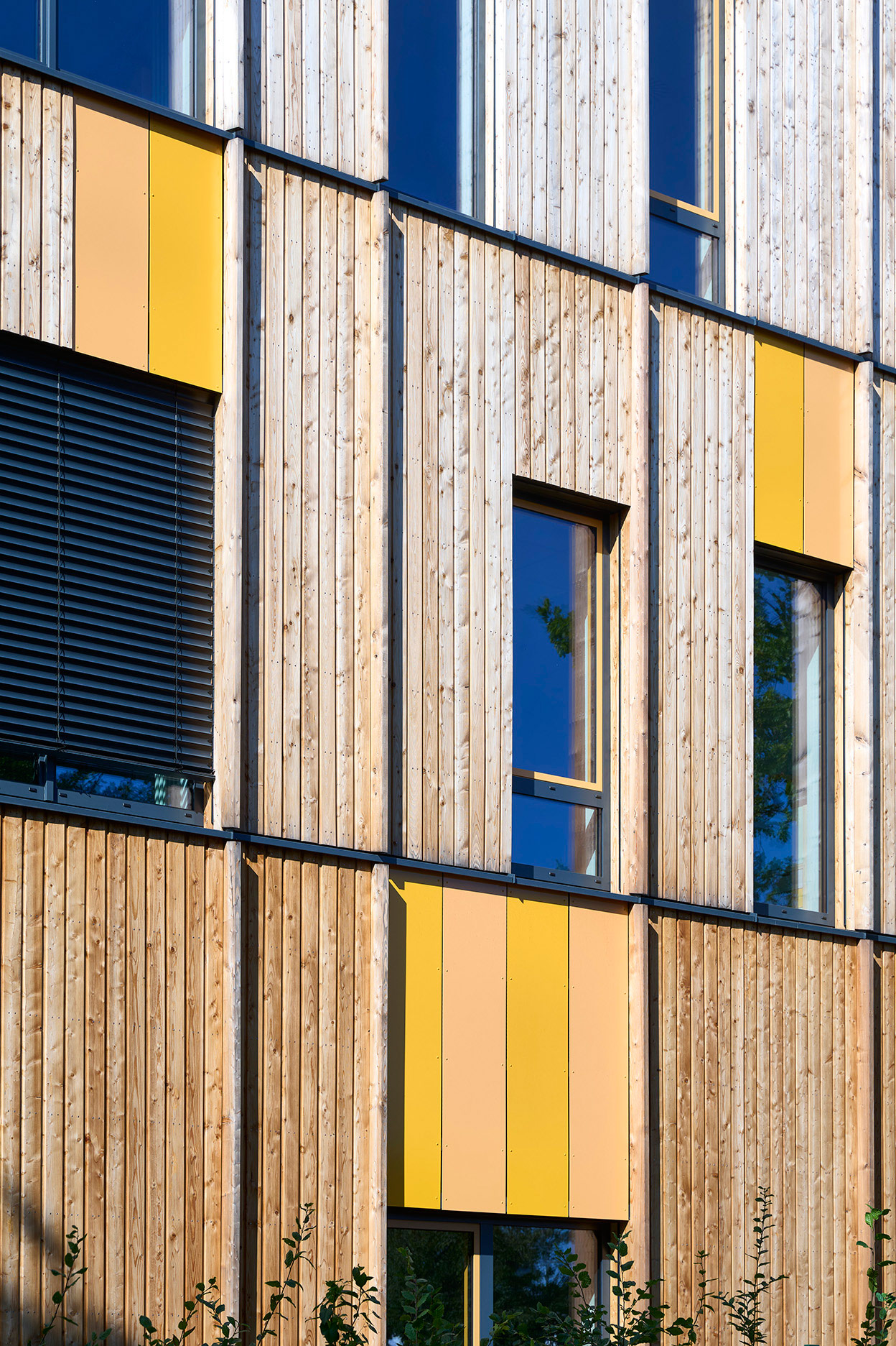 12所古特斯洛可持续小学扩建项目丨德国-22