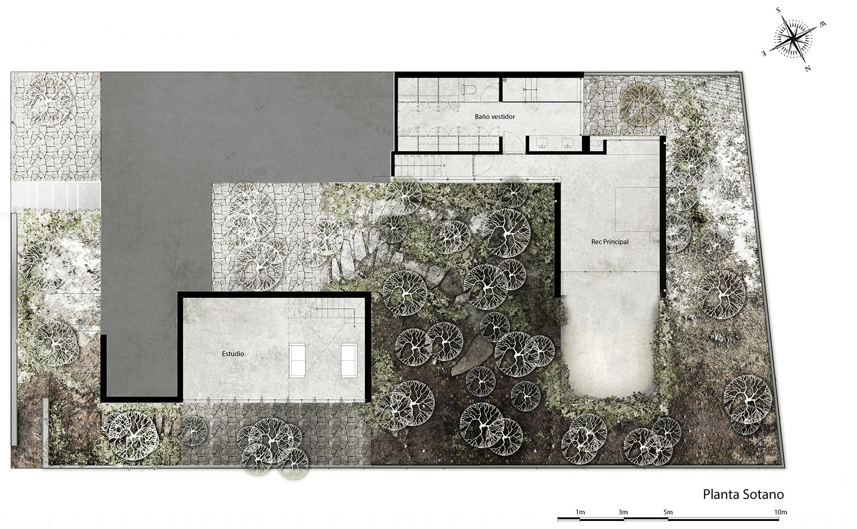 Caribu 住宅丨墨西哥丨Taller Tequio-58