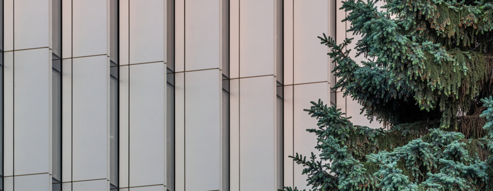 丨俄罗斯圣彼得堡丨建筑师Svetozar Andreev-12