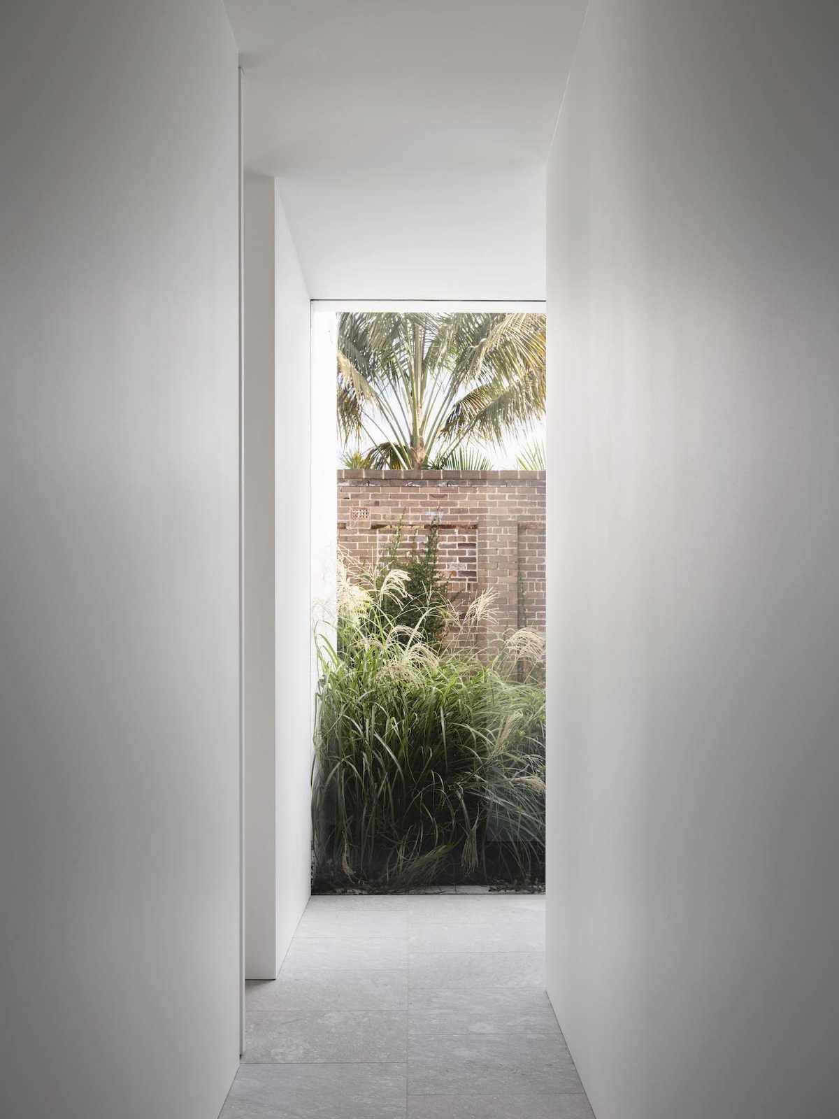 悉尼独特别墅庭院丨澳大利亚悉尼丨Kyra Thomas Architects-18