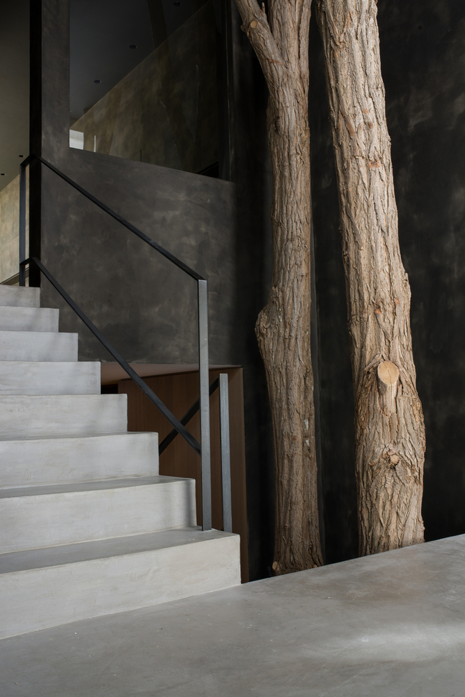 融合历史与新生的城市住宅改造-14