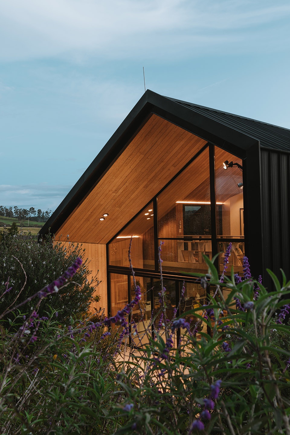 哥伦比亚 KRUPPA 住宅丨Capa Arquitectura-5