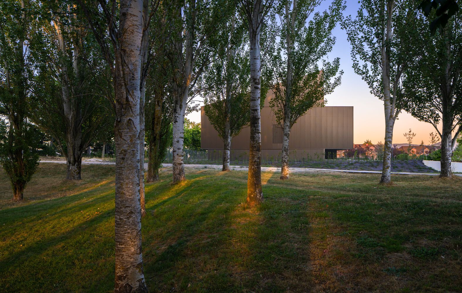 林间 18 宅丨西班牙丨Vaillo + Irigaray Architects-27