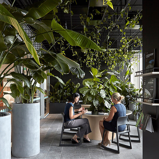 Cardno APAC Headquarters by Cox Architecture | Australian Interior Design Awards-8