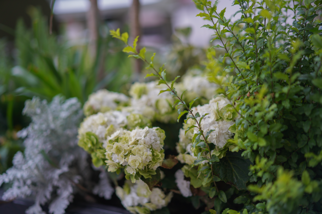 gaga 星寰国际中心店丨中国广州丨永创设计-38