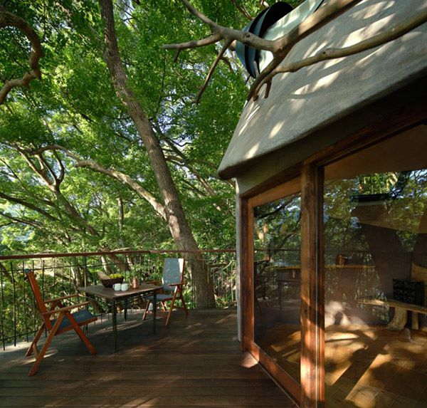 300老樹木屋計畫「熱海鳥居」（Kusukusu）丨日本丨日本小林崇,NAP Architects-20