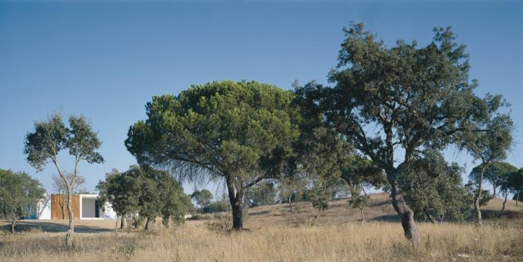 葡萄牙阿连特茹住宅丨Aires Mateus-11