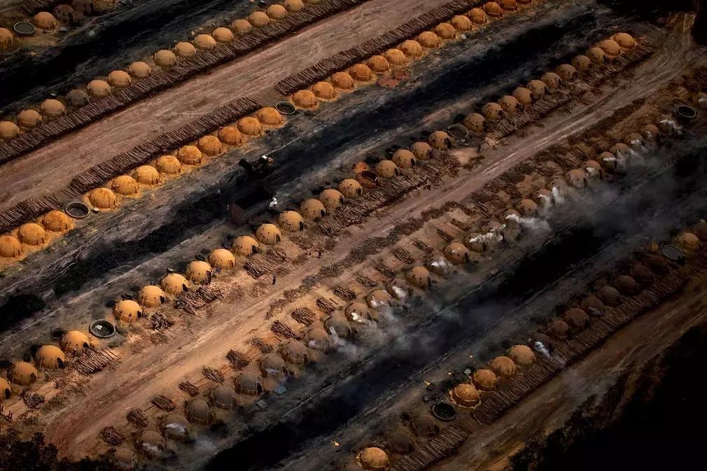 全球气候危机 | 亚马逊雨林火灾与生态破坏-136