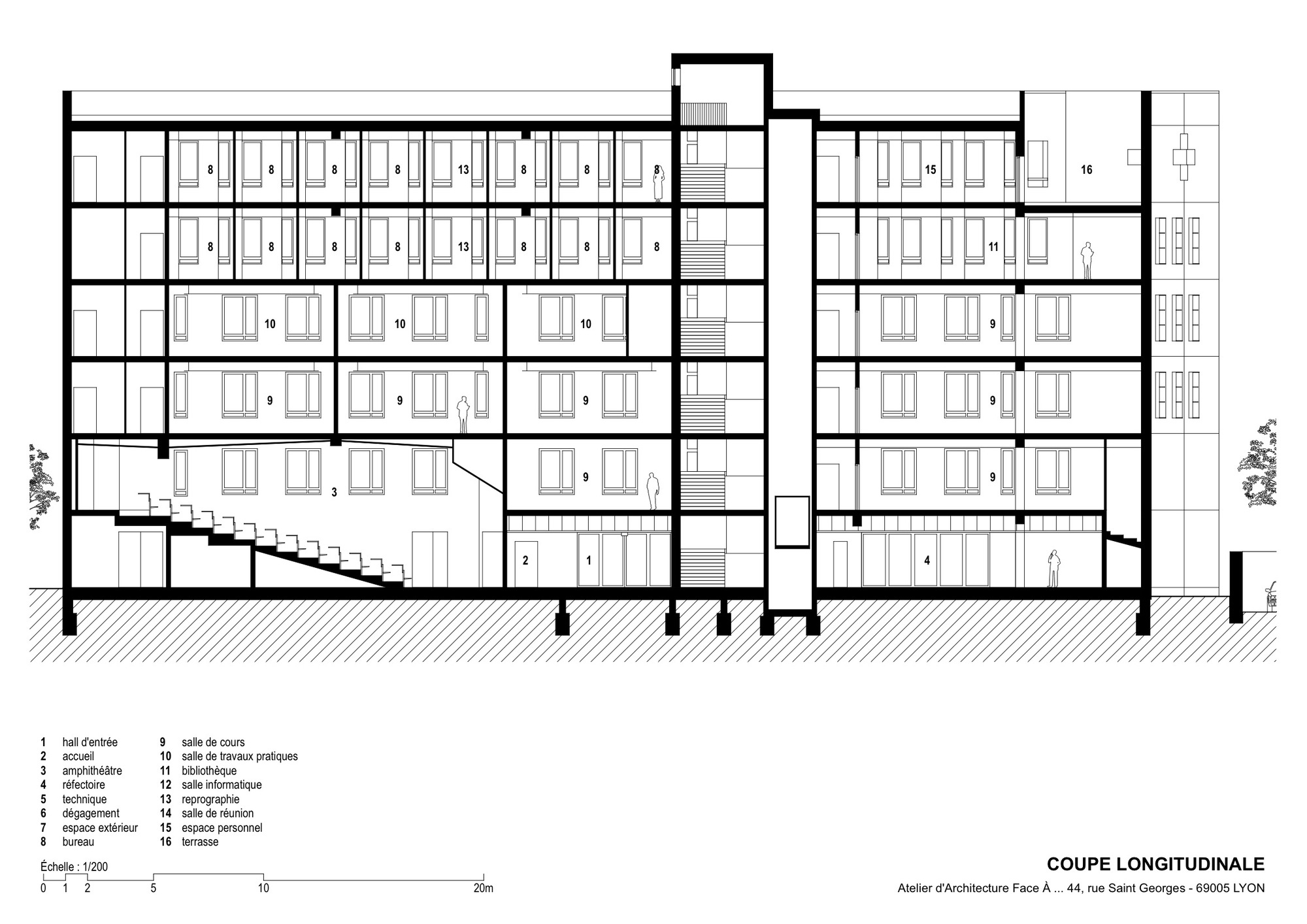 红新月地区健康与社会培训学院-46