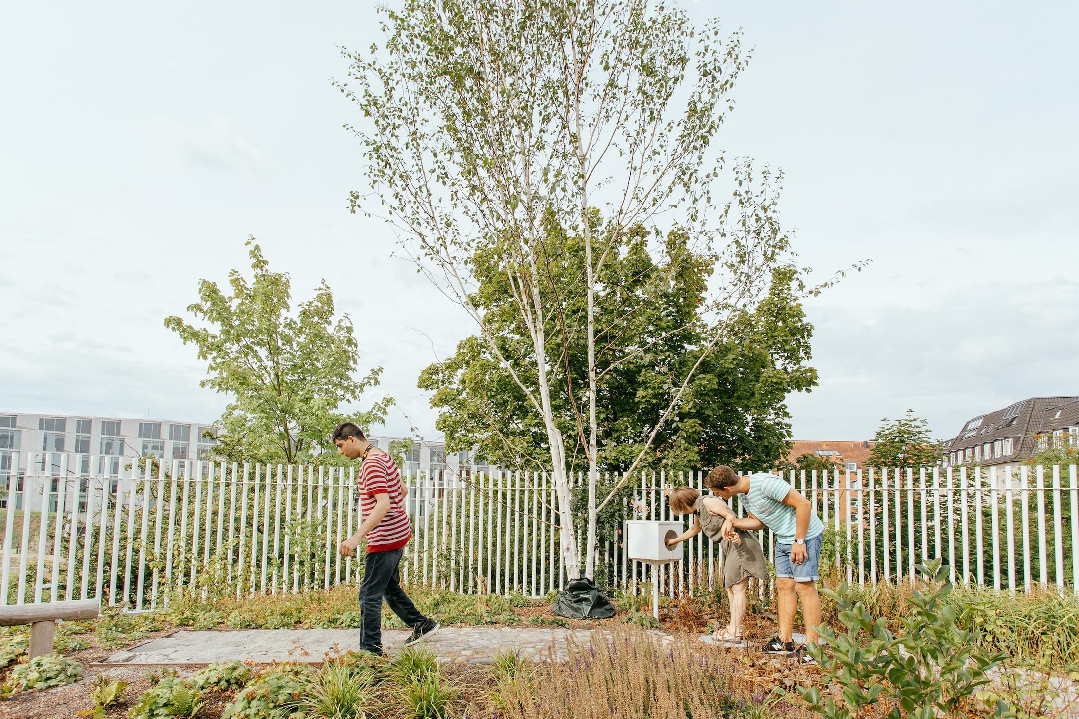 丹麦腓特列斯贝,感官体验治疗屋顶花园-16