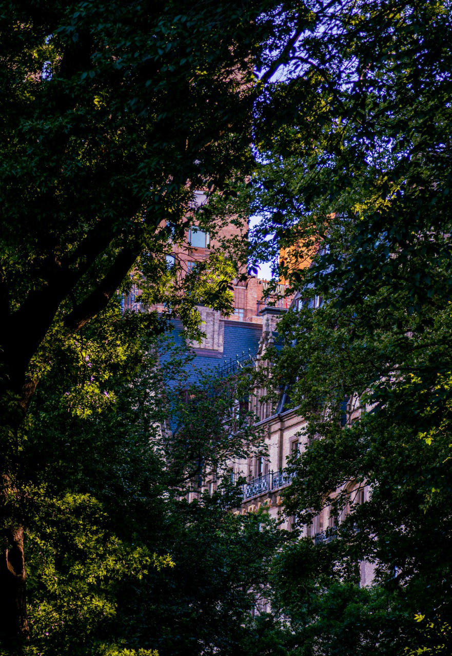 New York at COVID-19 times-2