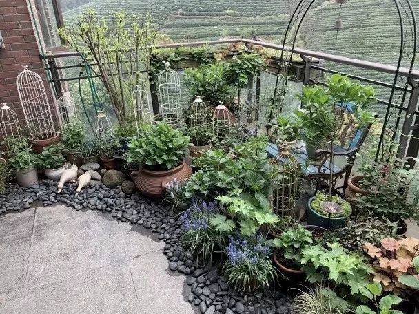 23 平露台变山野花园，浙江苑筑景观打造完美露台生活-33