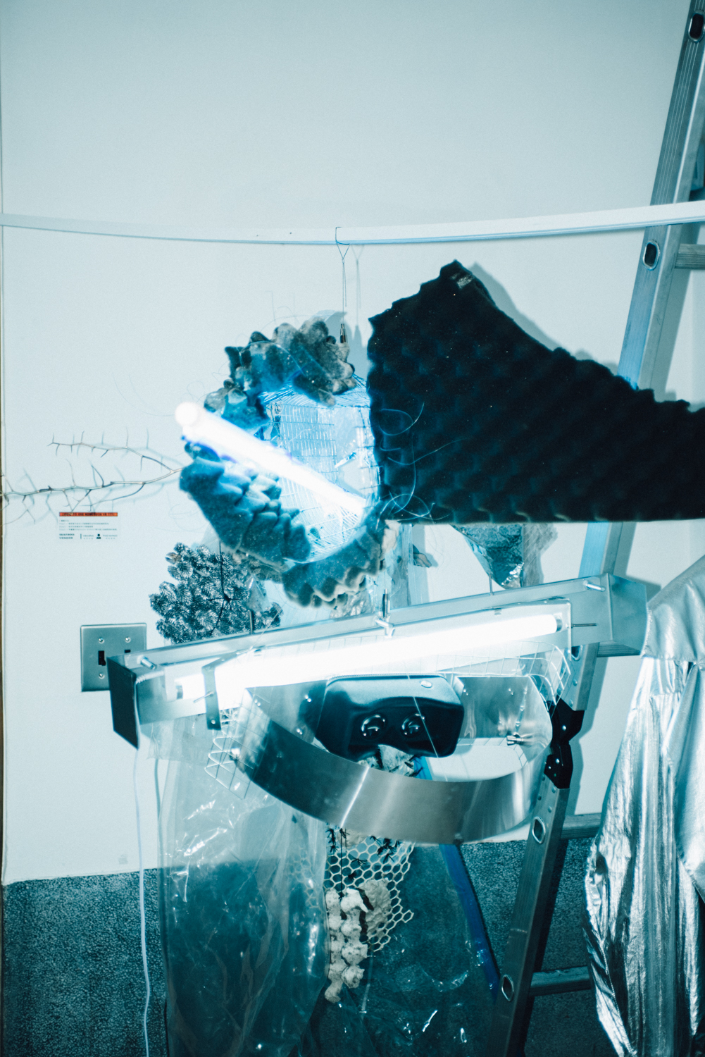 nonesuch Market - 質物霽畫 BOTANIPLAN VON LEE CHI -4