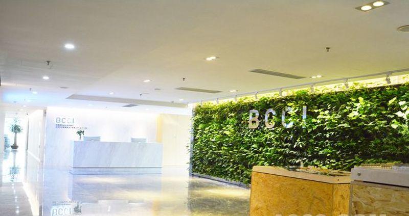 中外建BCCI科技-3