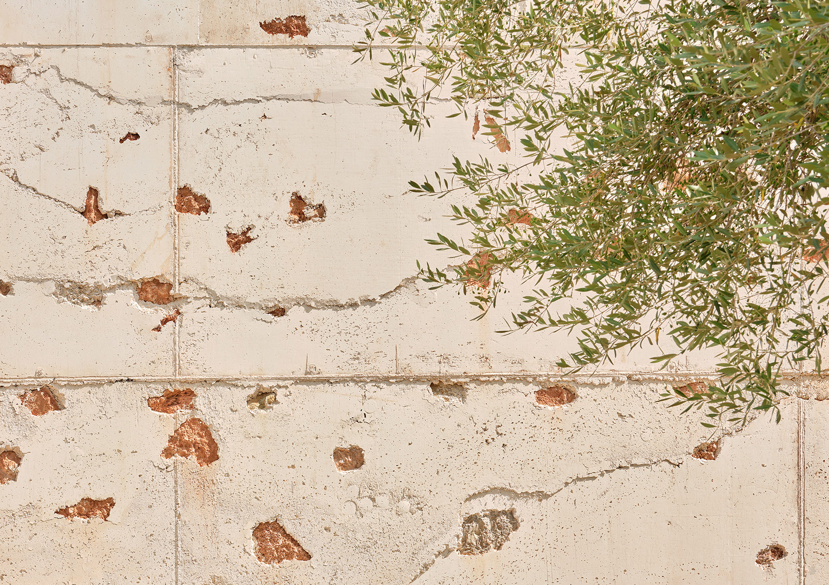 Ses Veles Puigpunyent住宅丨西班牙丨Alventosa Morell Arquitectes-62