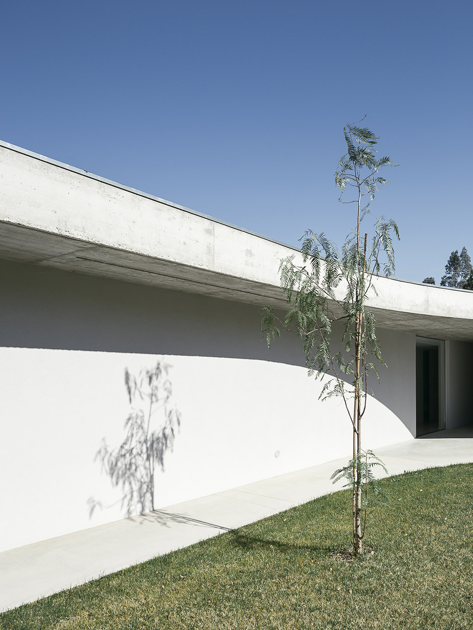 Gloma 住宅，葡萄牙 / Bruno Dias Arquitectura-64