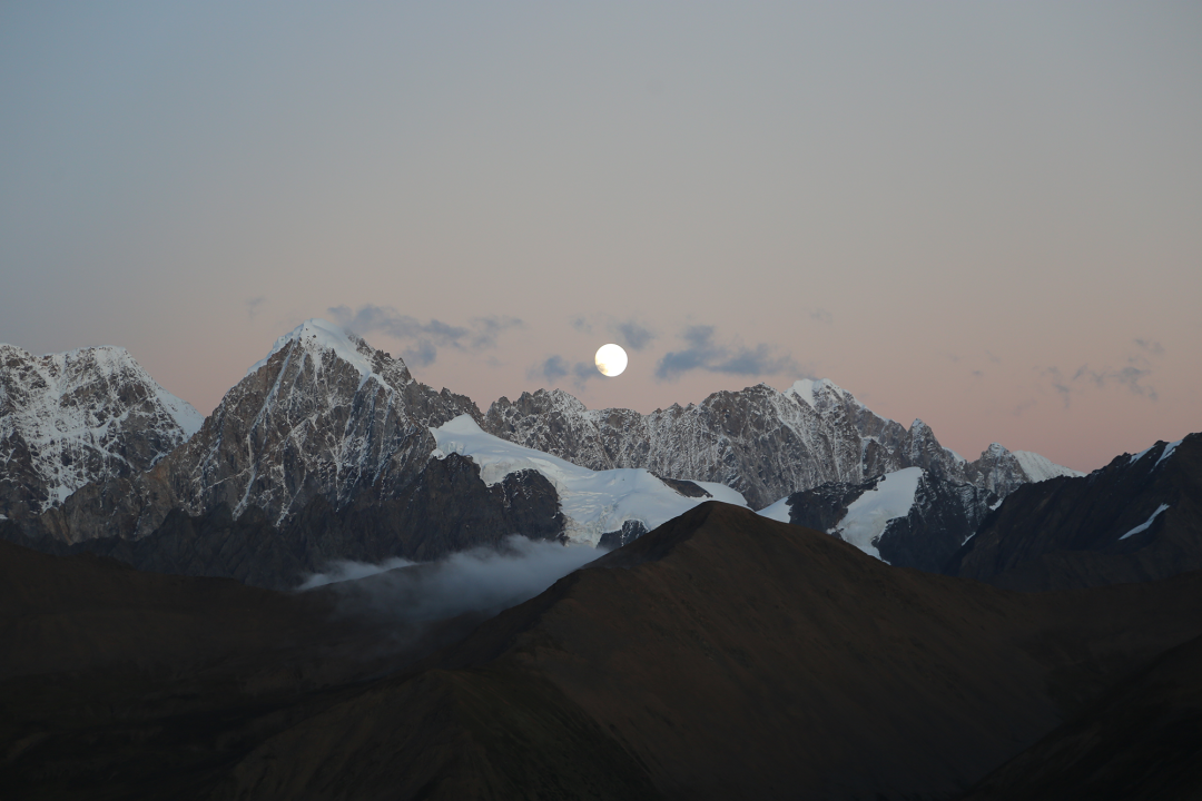 600㎡展厅设计 自然长期主义丨中国深圳丨懒猫创意空间-0