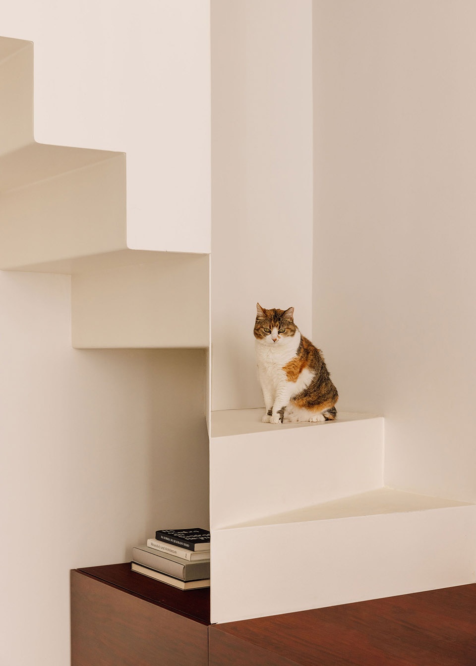 AR 公寓室内设计丨葡萄牙里斯本丨Rita Aguiar Rodrigues 等-16