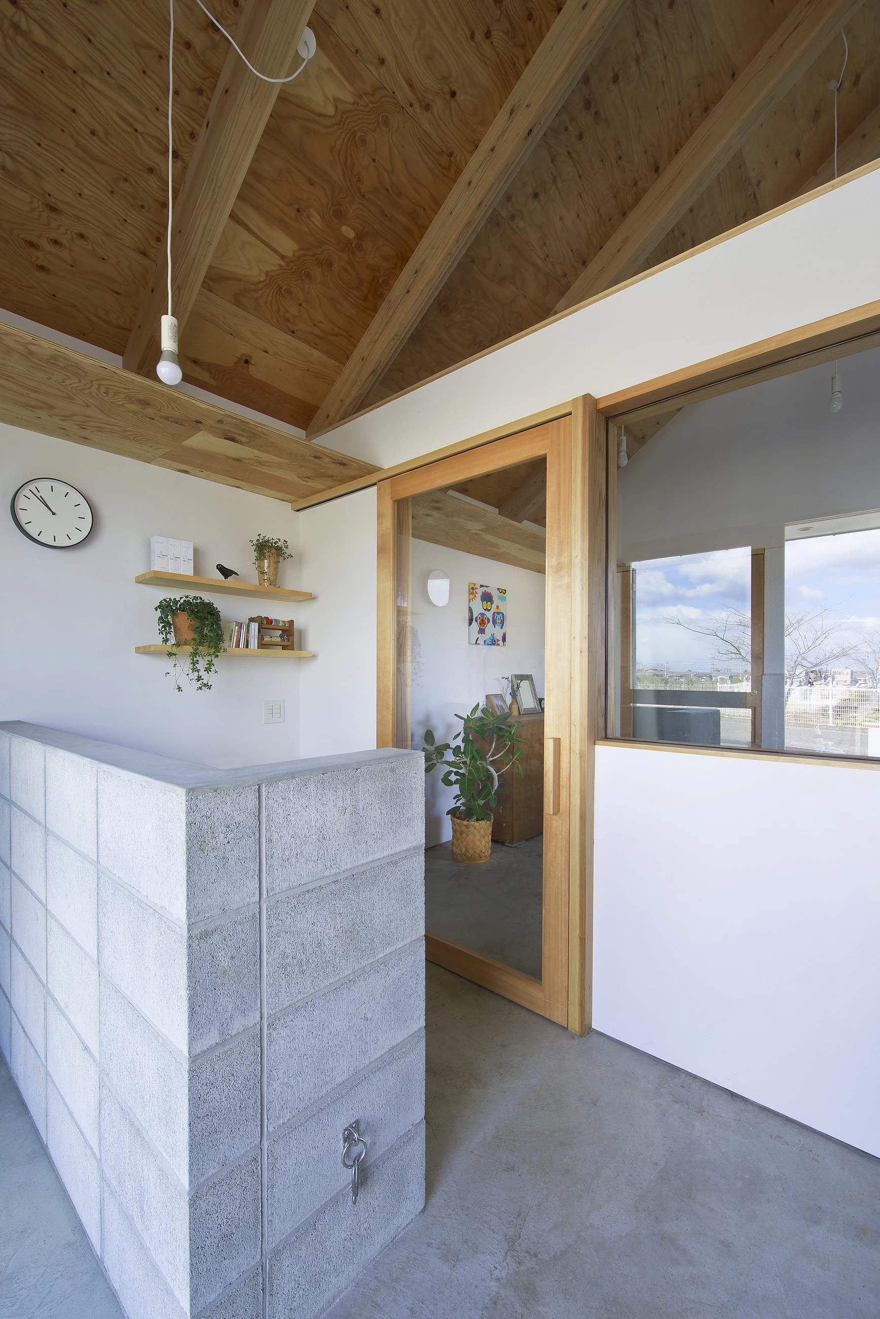 日本稻田中的“狗沙龙”住宅-18