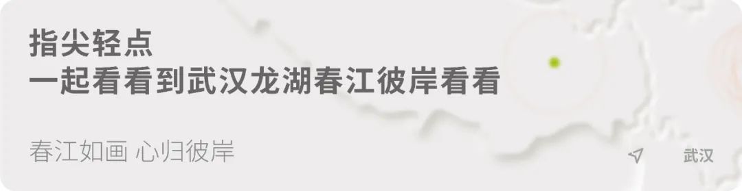 春江如画 心归彼岸 | 武汉龙湖 · 春江彼岸（大区）-11