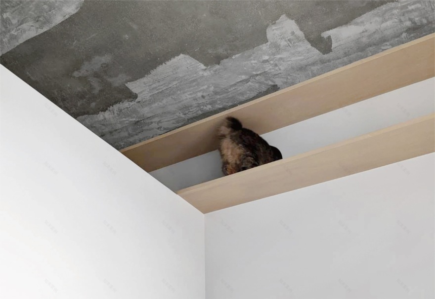 博科之家丨日本丨Hiroyasu Imai-33