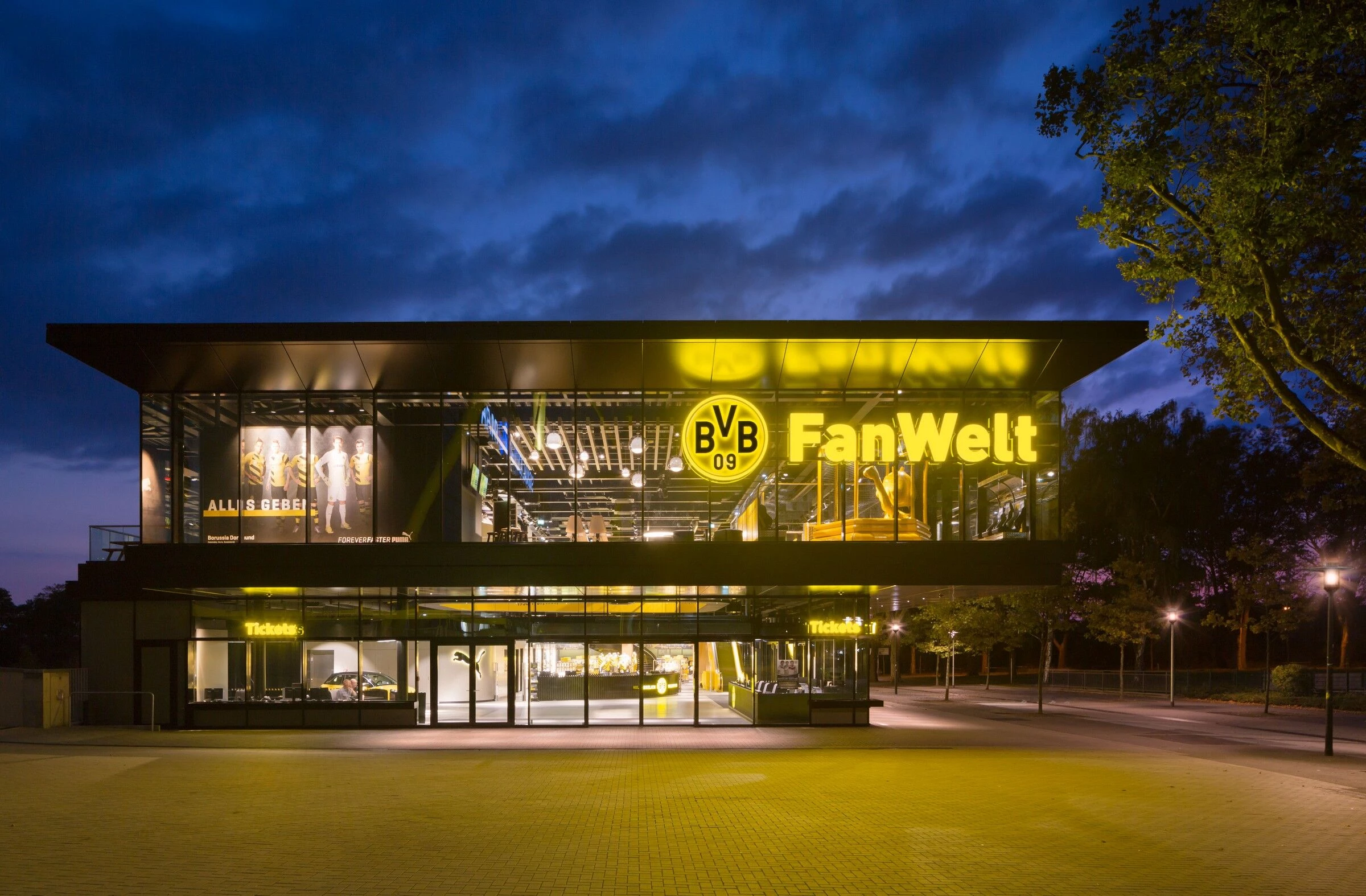 BVB 球迷世界丨德国丨caspar.-15