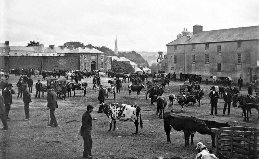 自由市场 · 爱尔兰农村城镇广场复兴之路-22