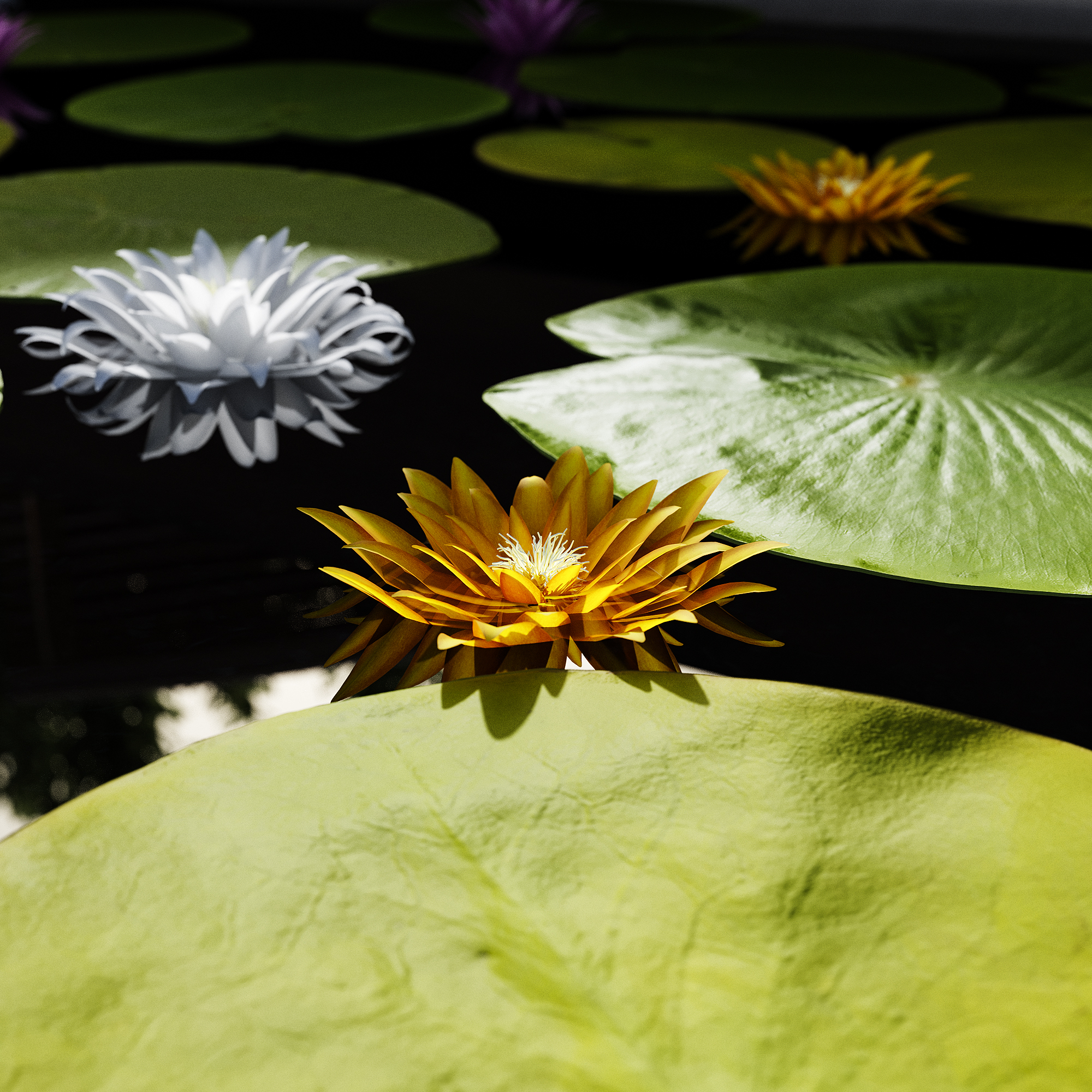 town square 2 by dii-2