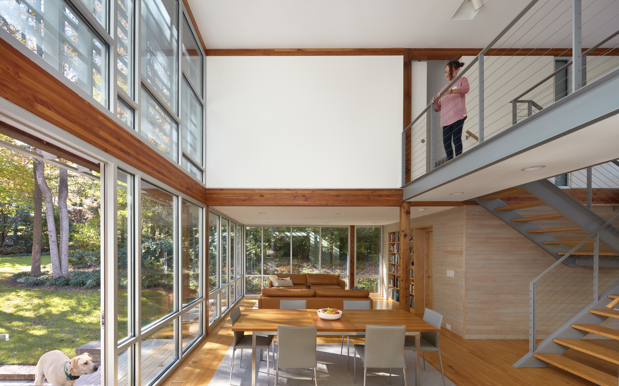 森林中的透明之家-5