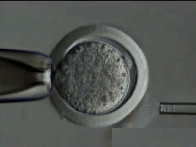 木质+肌理漆,描绘生活与办公的本真 | 观致设计-4