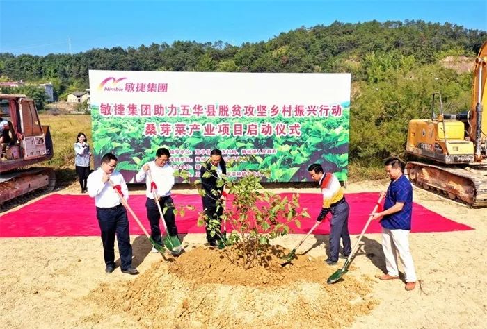 敏捷集团五华桑芽菜产业扶贫 | 造血式扶贫的长效机制-12