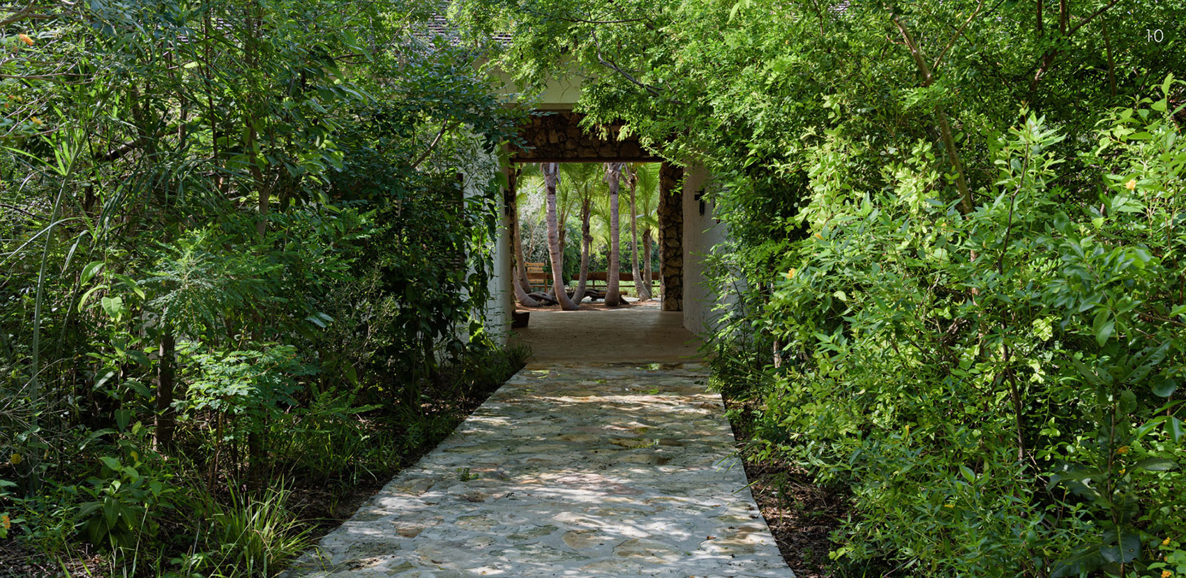 巴哈马Leon Levy原生植物保护区丨沙特阿拉伯巴哈丨不详-11