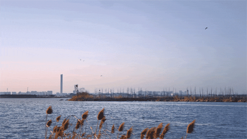 曲水善湾船坞民宿丨中国苏州丨建筑设计goa大象设计,室内设计WJ STUDIO万境设计-10