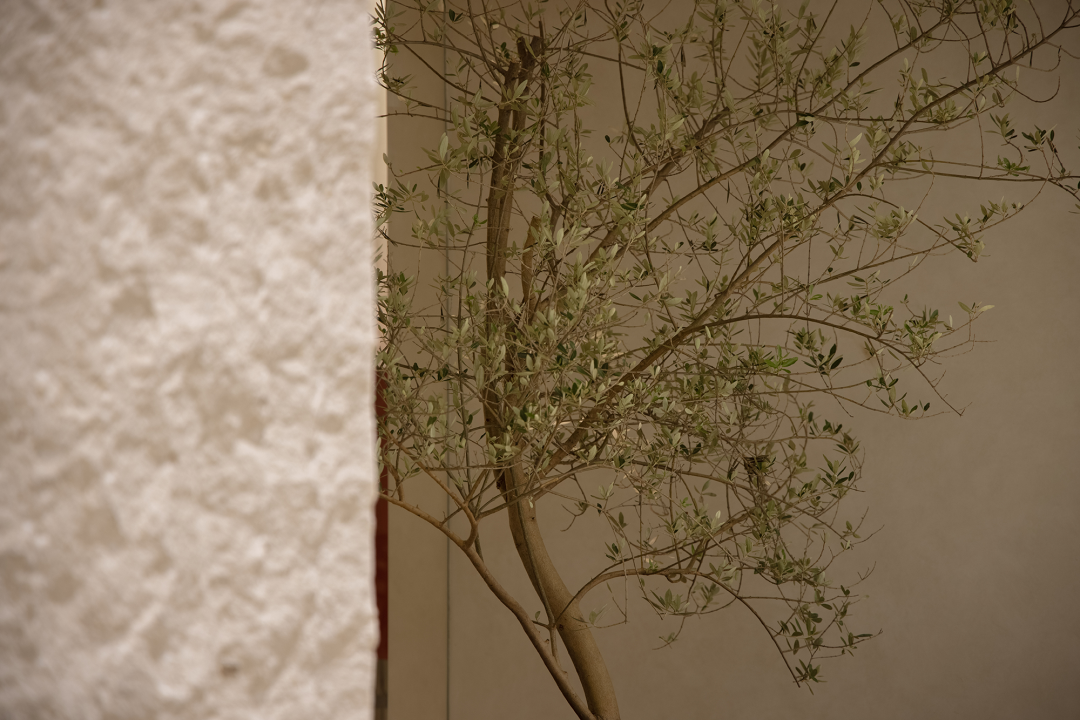 内在建造：Soothin素庭旗舰店 | 绽放设计-105