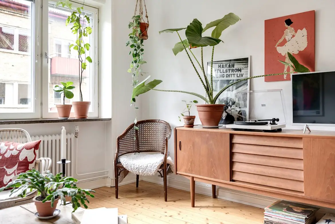 城市中的“厨神”小窝-3