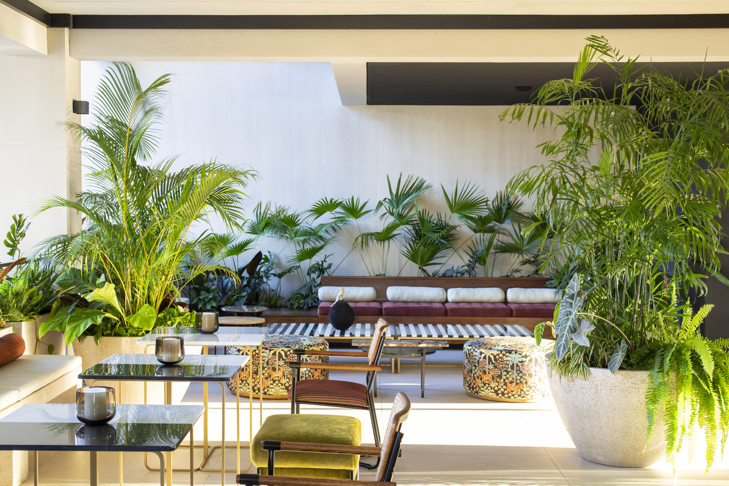 垂直绿洲 · 哥斯达黎加 San José 的 Gardenia 公寓丨Studio Saxe-44