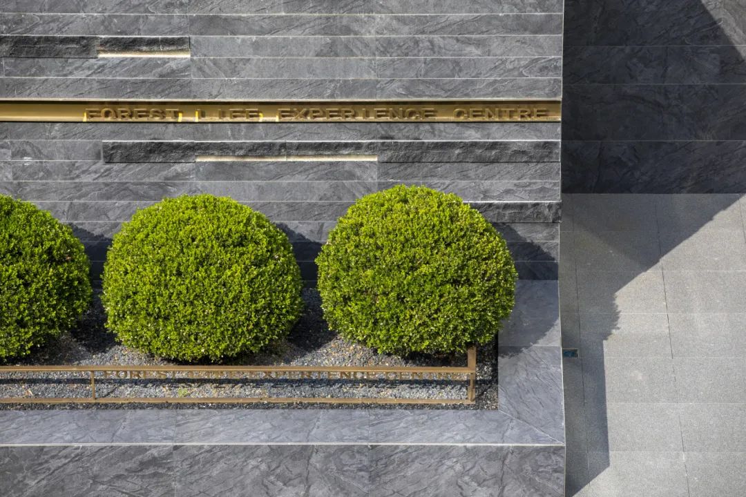 和熙碧影迎明月 | 绿城·沁香园-77