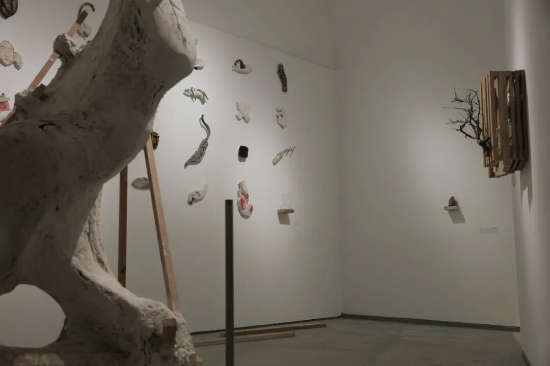 展览现场｜《应物“相”形》展览的空间剧本及其实施-5