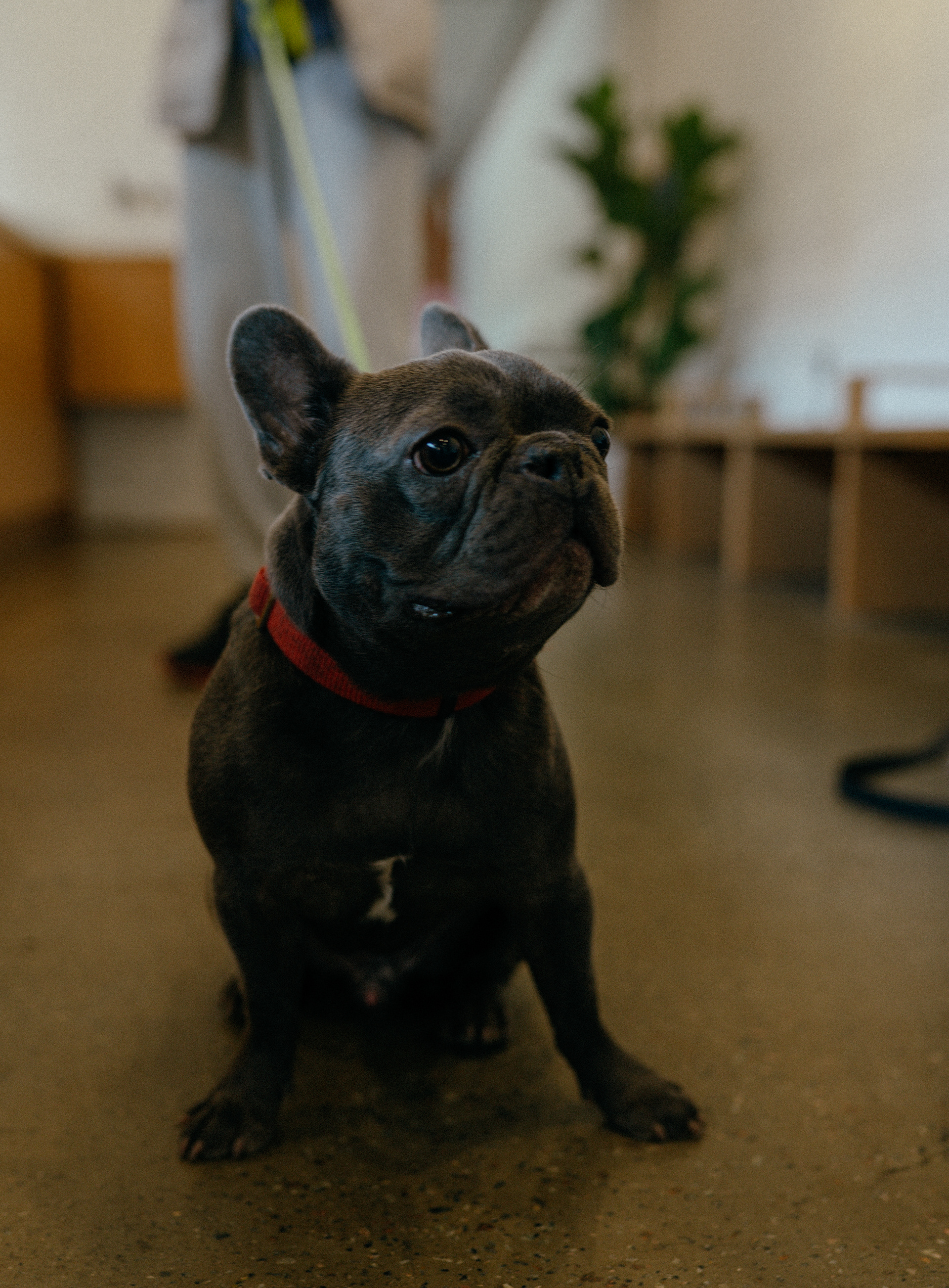 BAKERY & COFFEESHOP-14