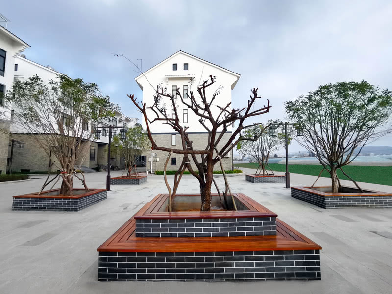 干江梅花仙境 · 打造梅岭特色梅花村-33