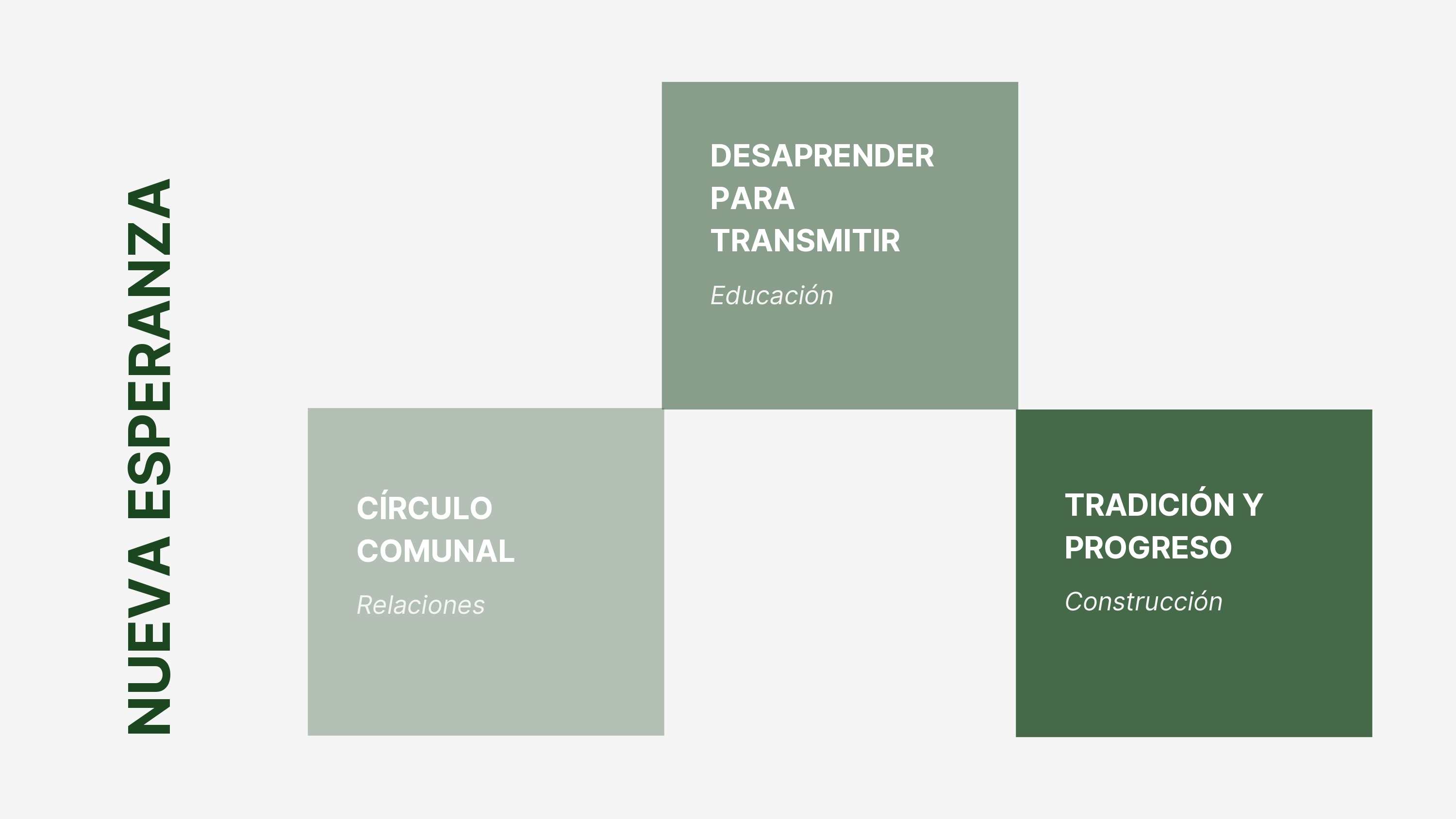 CC·诊所·项目·大学·和平-12
