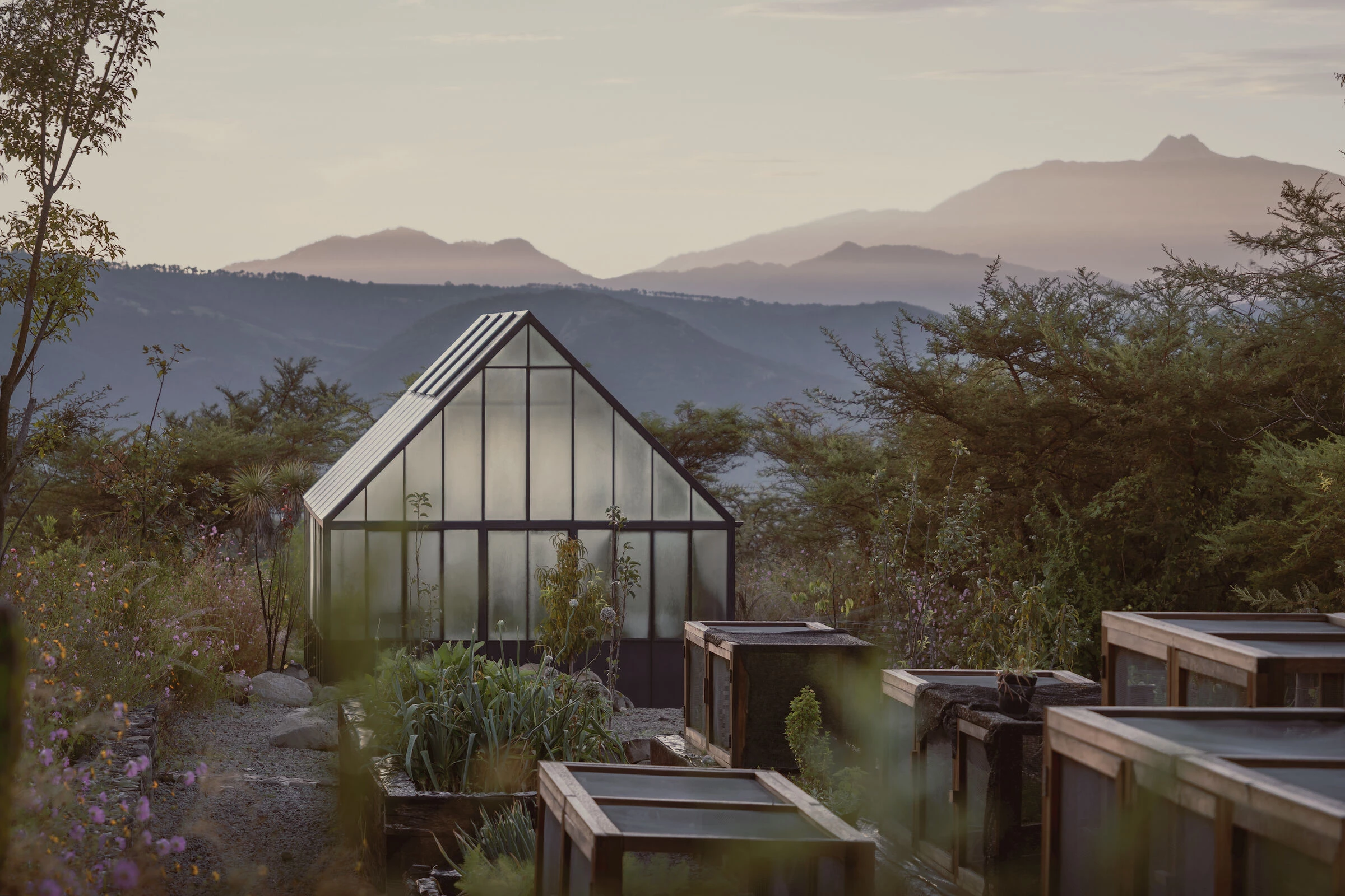 玻璃屋丨墨西哥丨COA arquitectura-24